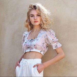 Stone cold fox bond crop